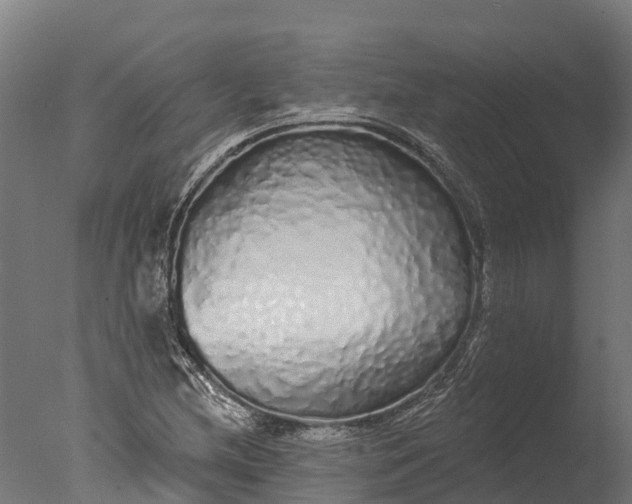 X0000076421212200610161118