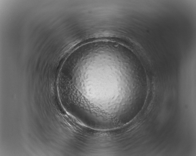 X0000076421217200610161118