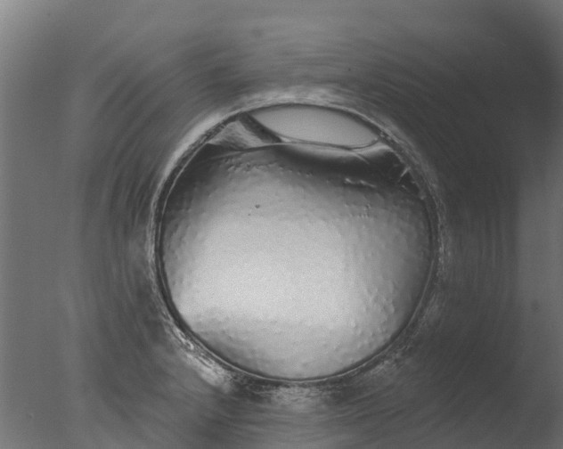X0000076421232200610161118