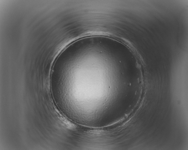 X0000076421236200610161118