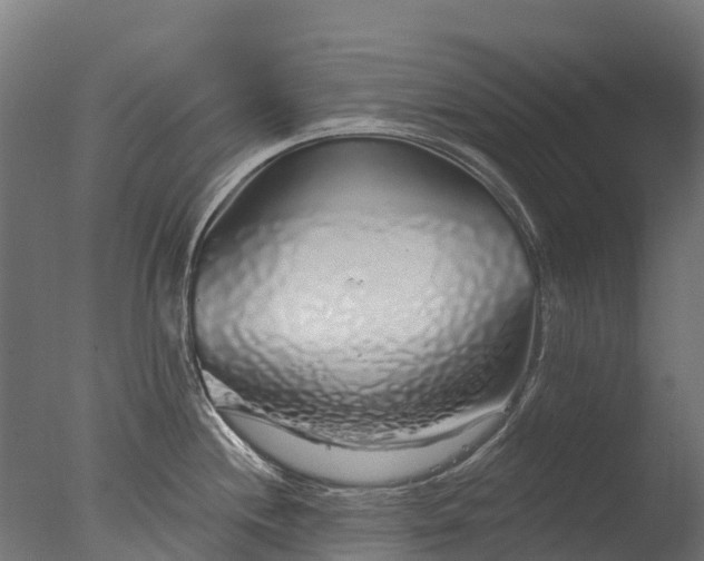 X0000076421244200610161118