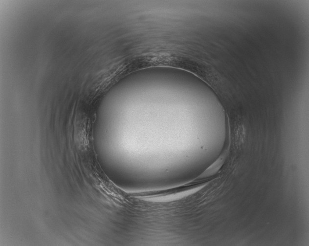 X0000076421250200610161117