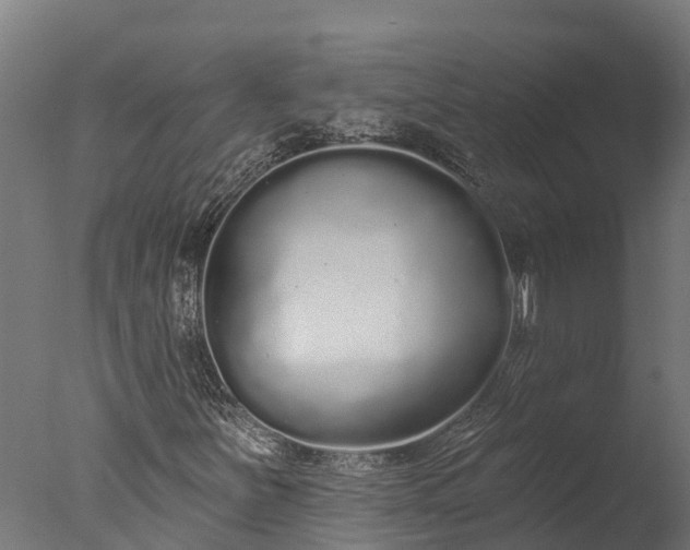 X0000076421251200610161117