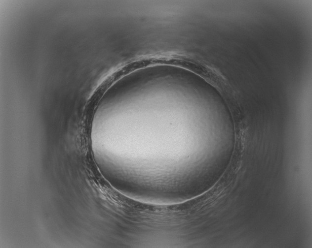 X0000076421256200610161117