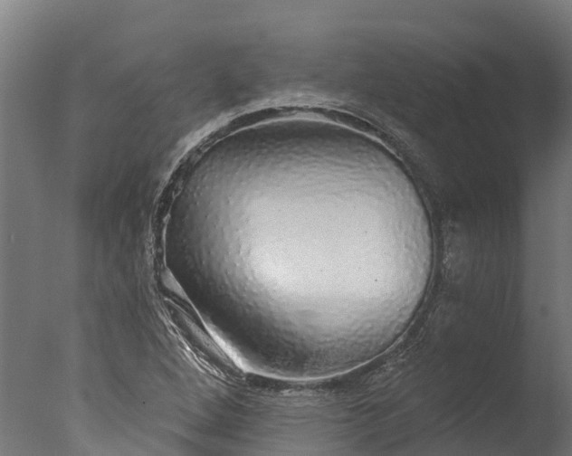 X0000076421264200610161117
