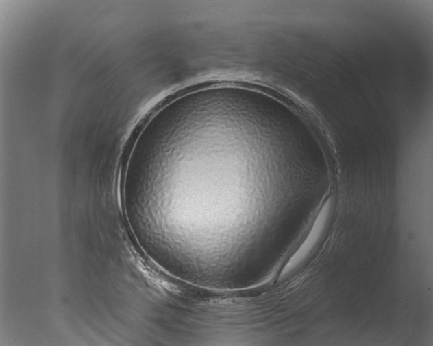X0000076421272200610161117