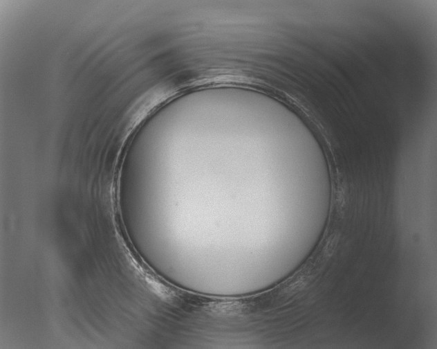 X0000076421282200610161117
