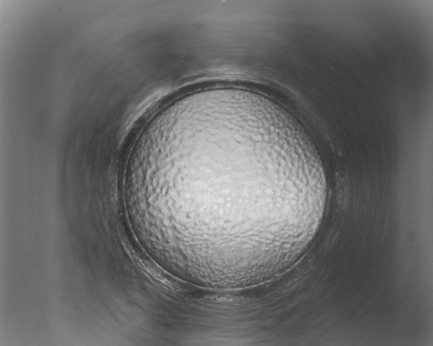 X0000076421318200610161116
