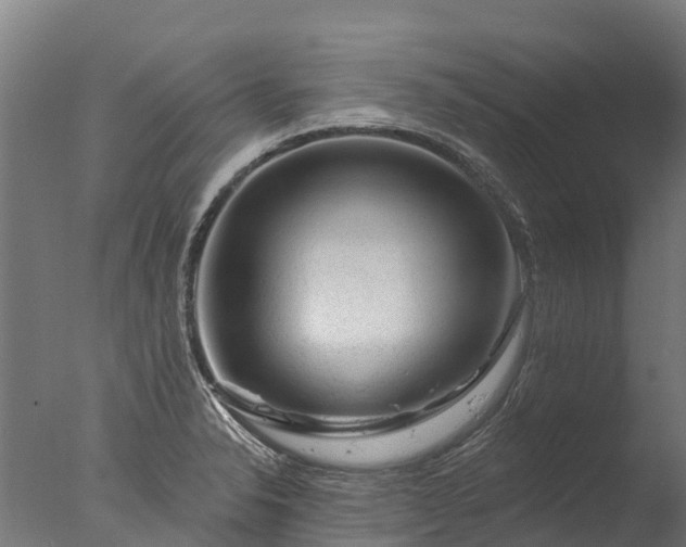 X0000076421326200610161116