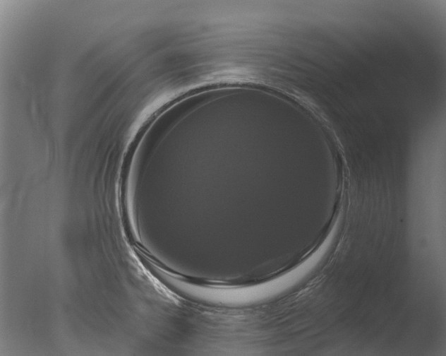 X0000076421334200610161117