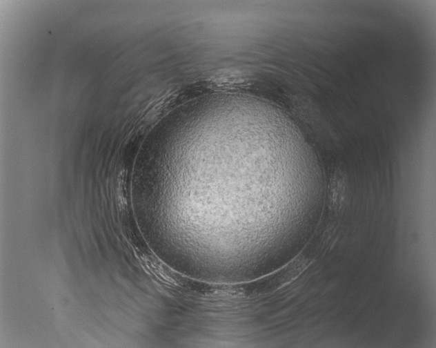 X0000076421346200610161116