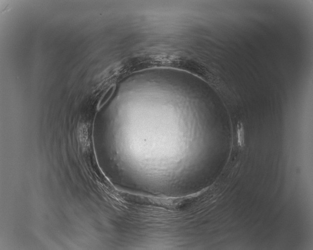 X0000076421347200610161116