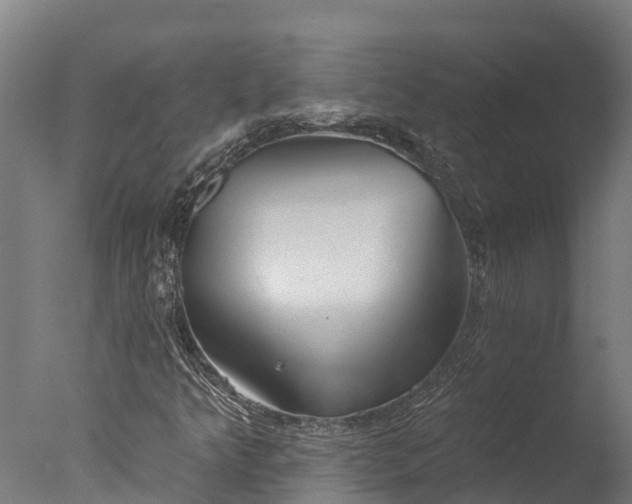 X0000076421349200610161116