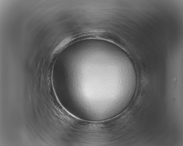X0000076421354200610161116