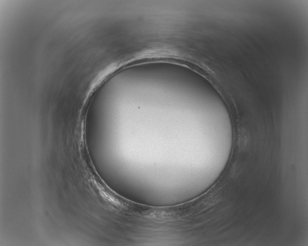 X0000076421366200610161116