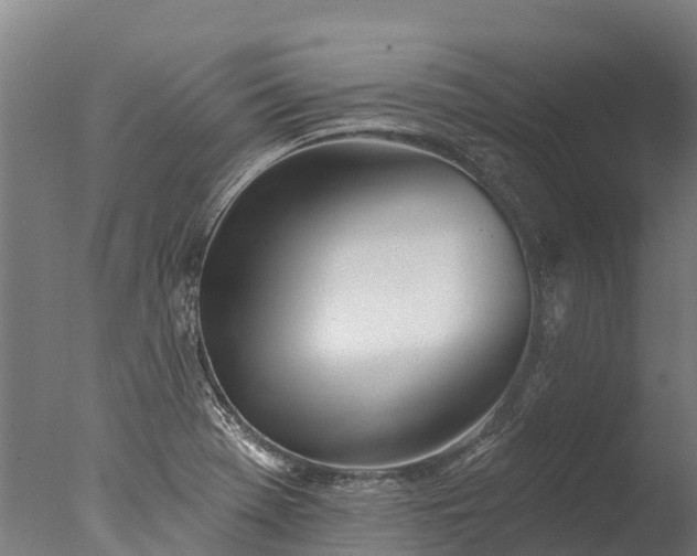 X0000076421369200610161115
