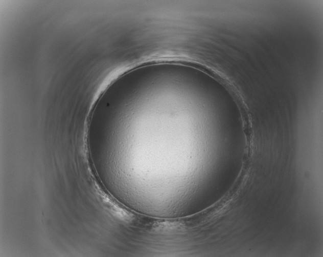 X0000076421374200610161115