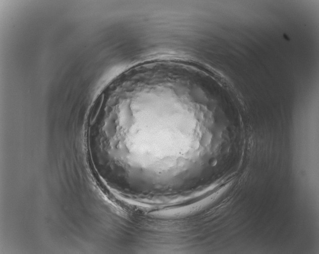 X0000076421375200610161115