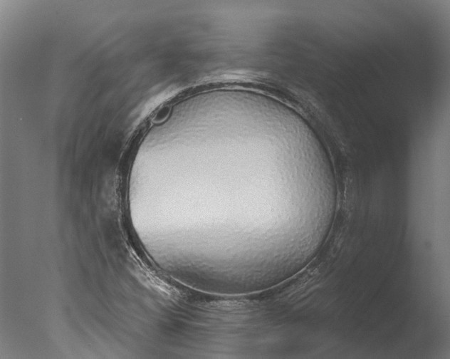 X0000076421404200610161114