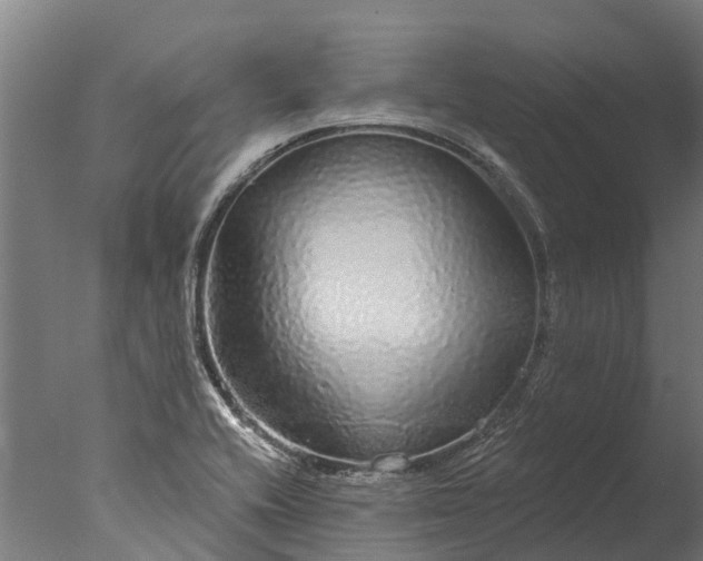 X0000076421416200610161115