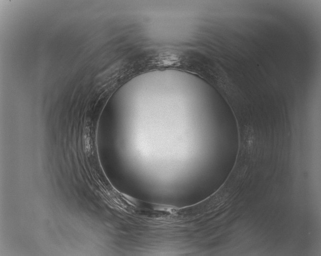 X0000076421442200610161114