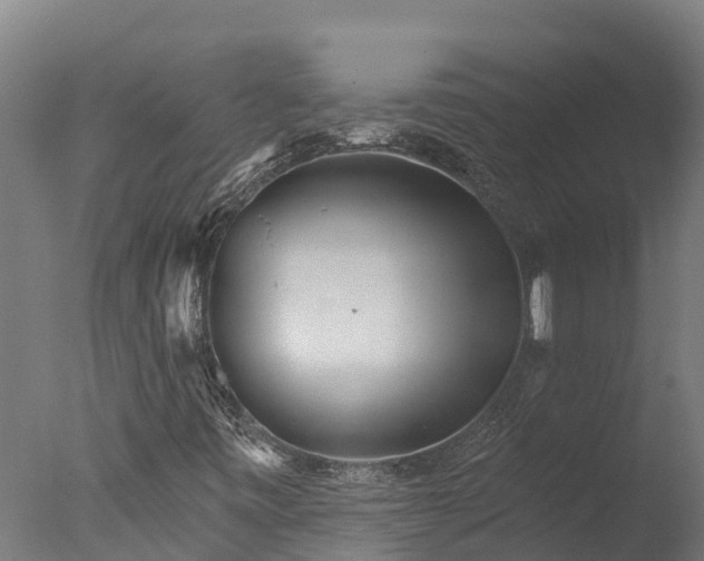 X0000076421443200610161114