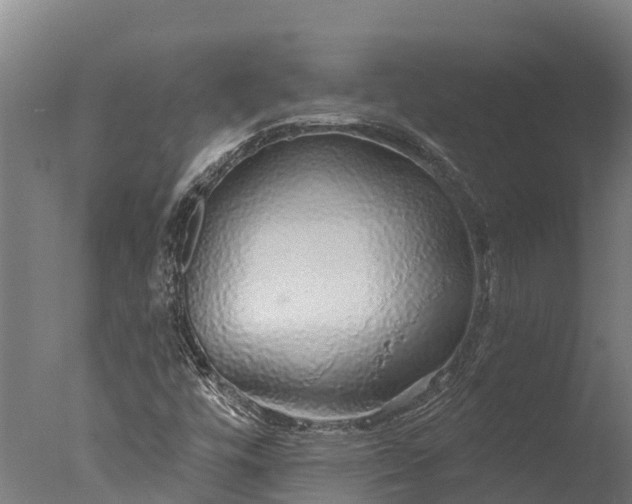 X0000076421448200610161114
