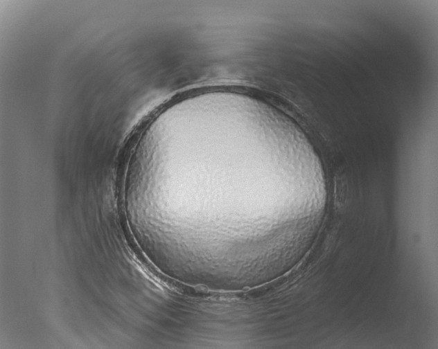 X0000076421452200610161114