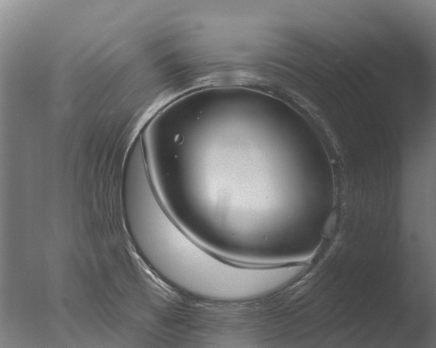 X0000076421473200610161114