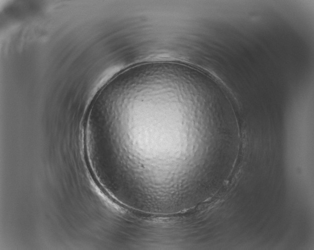 X0000076421476200610161114