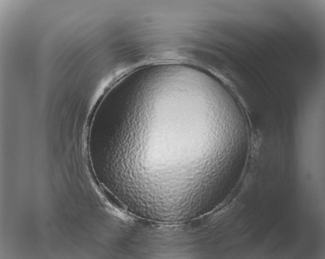 X0000076421477200610161114