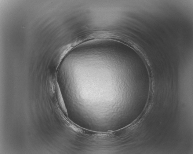 X0000076421481200610161114