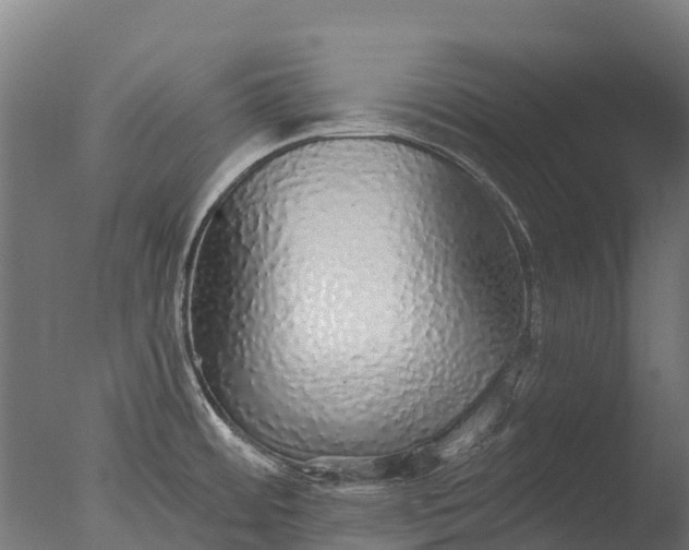 X0000076421484200610161114