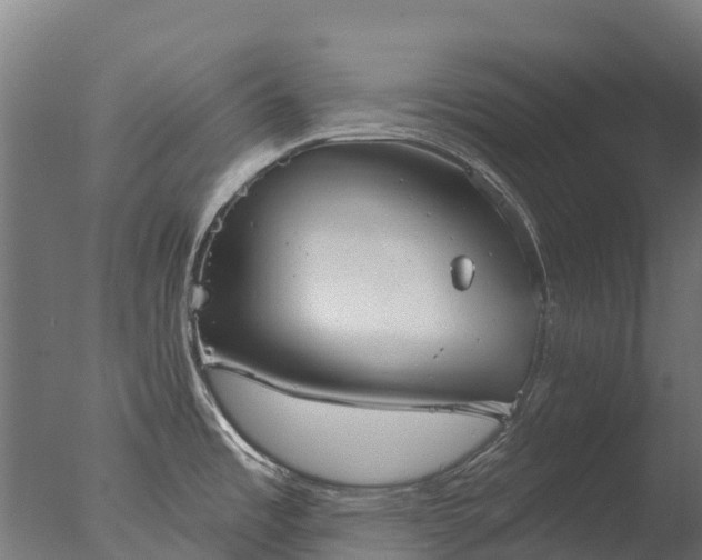 X0000076421485200610161114