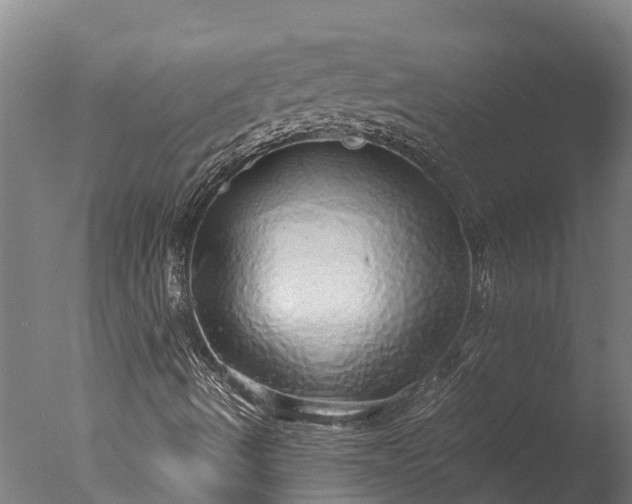 X0000076421490200610161113