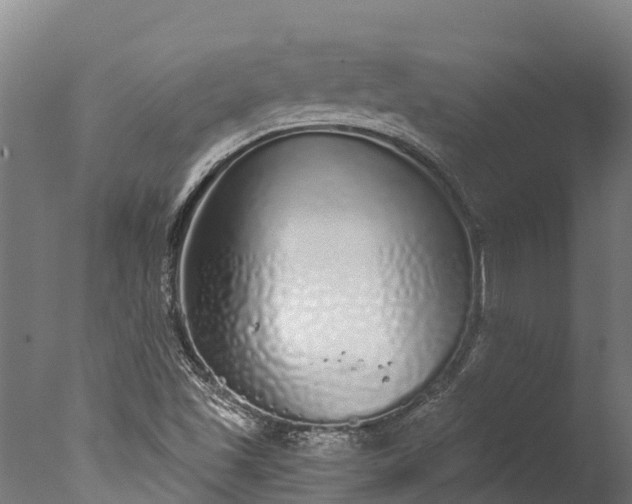 X0000076421501200610161113