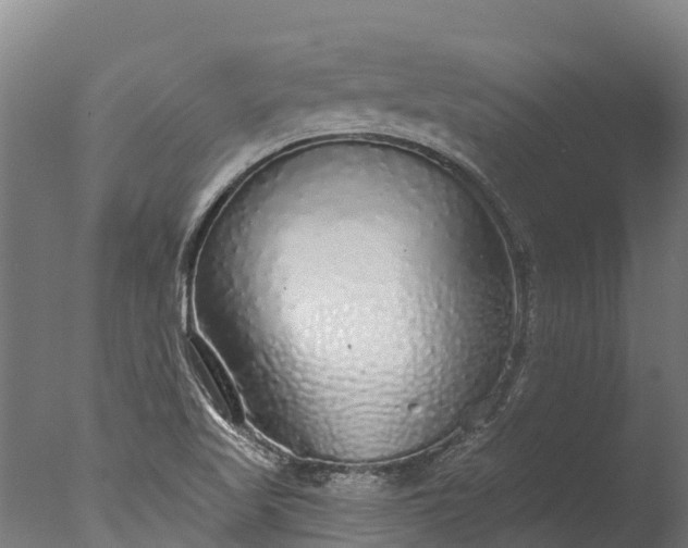 X0000076421509200610161113