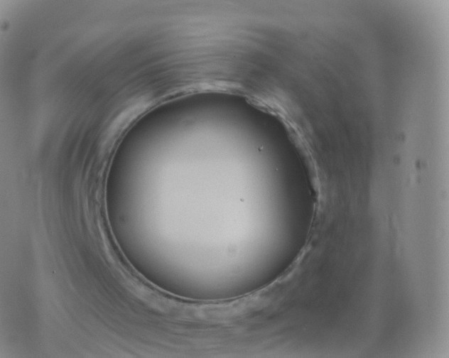 X0000076420001200610202231