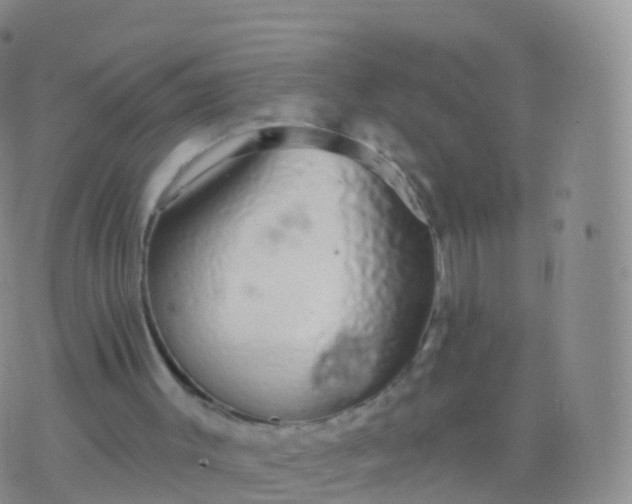 X0000076420003200610202231