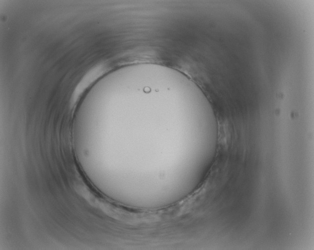 X0000076420004200610202231