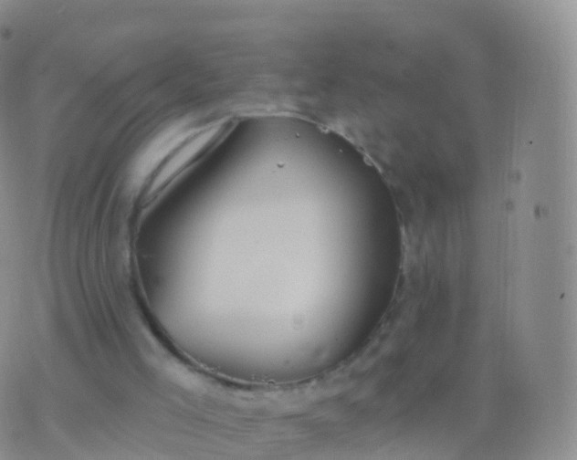 X0000076420005200610202231