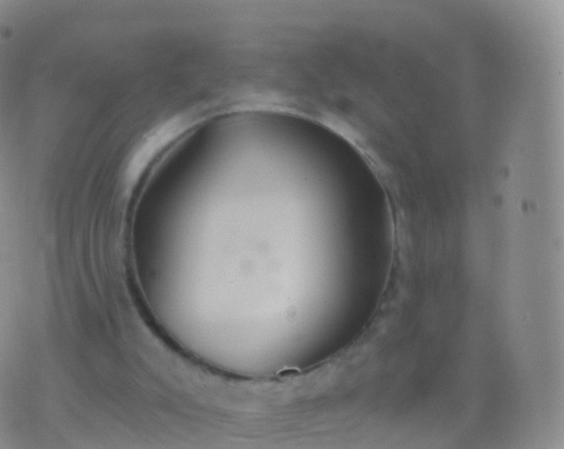 X0000076420007200610202231