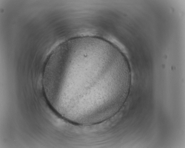 X0000076420009200610202231