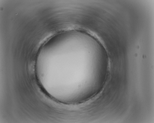 X0000076420010200610202231