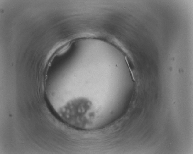 X0000076420011200610202231