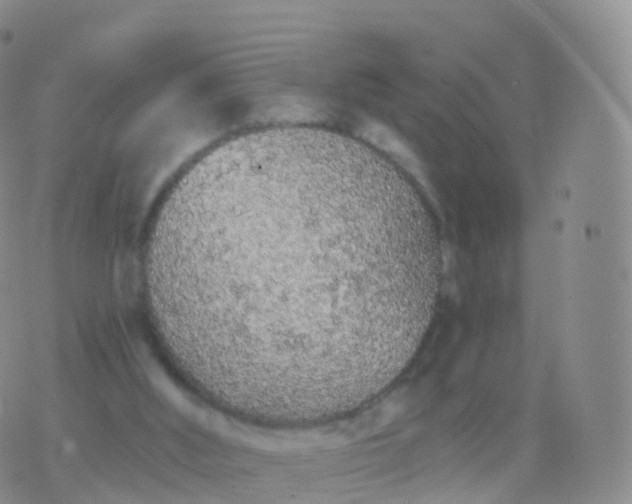 X0000076420012200610202231