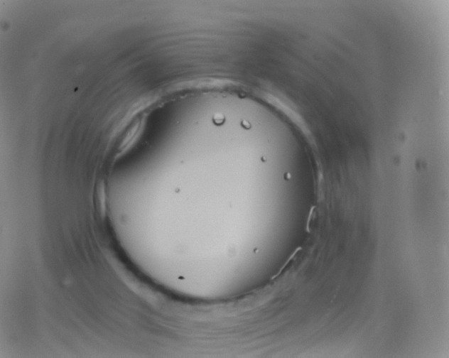 X0000076420013200610202231