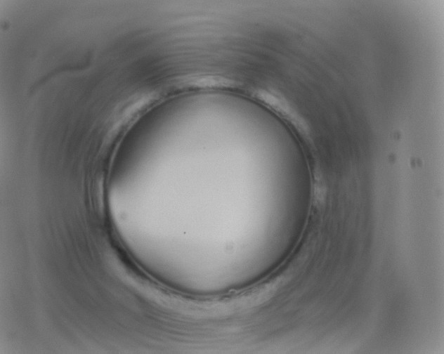 X0000076420014200610202231