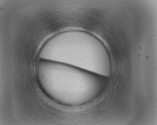 X0000076420015200610202231