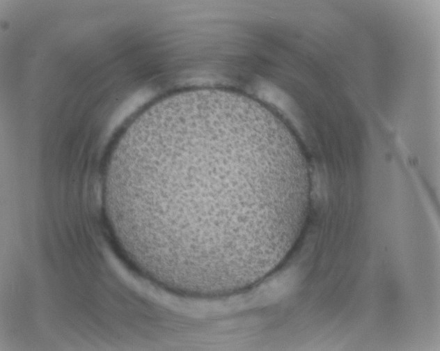 X0000076420016200610202231